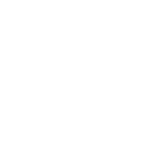 testimonial_icon